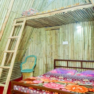 Himalayan Mountaineer